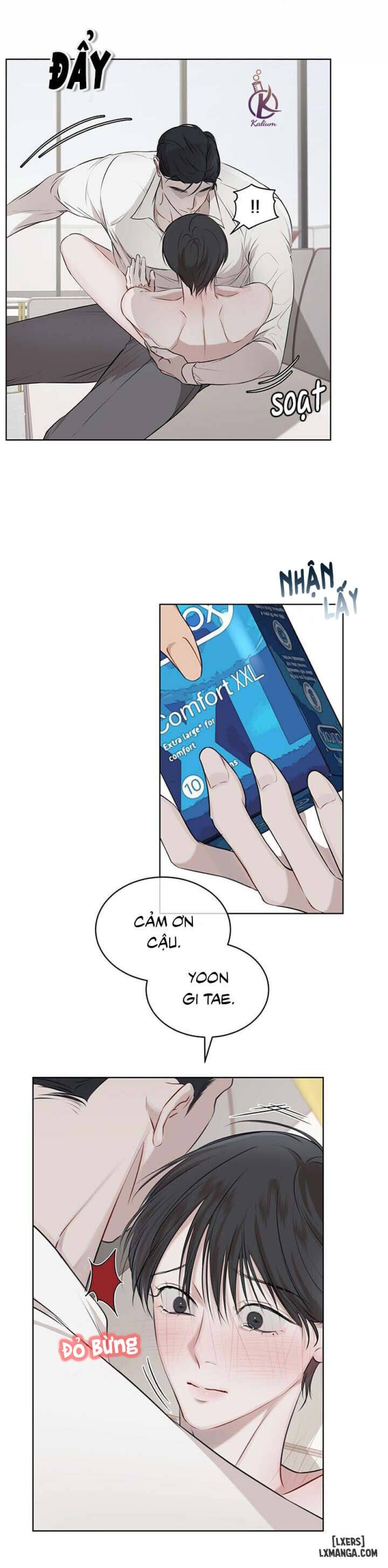 Hình thái khởi sinh 
