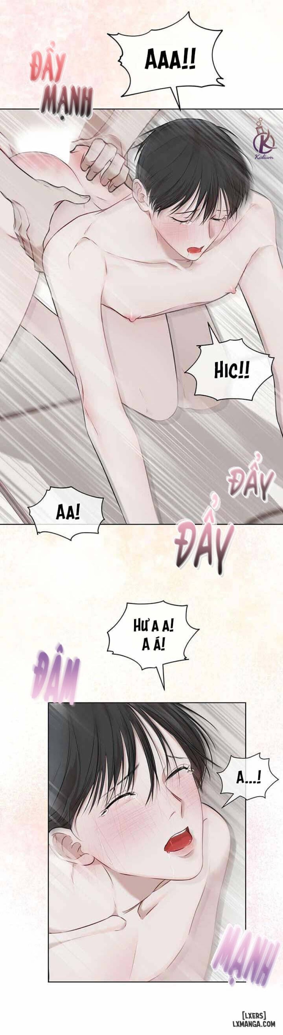 Hình thái khởi sinh 