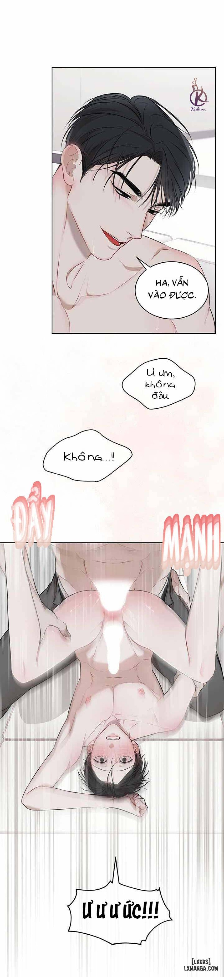 Hình thái khởi sinh 