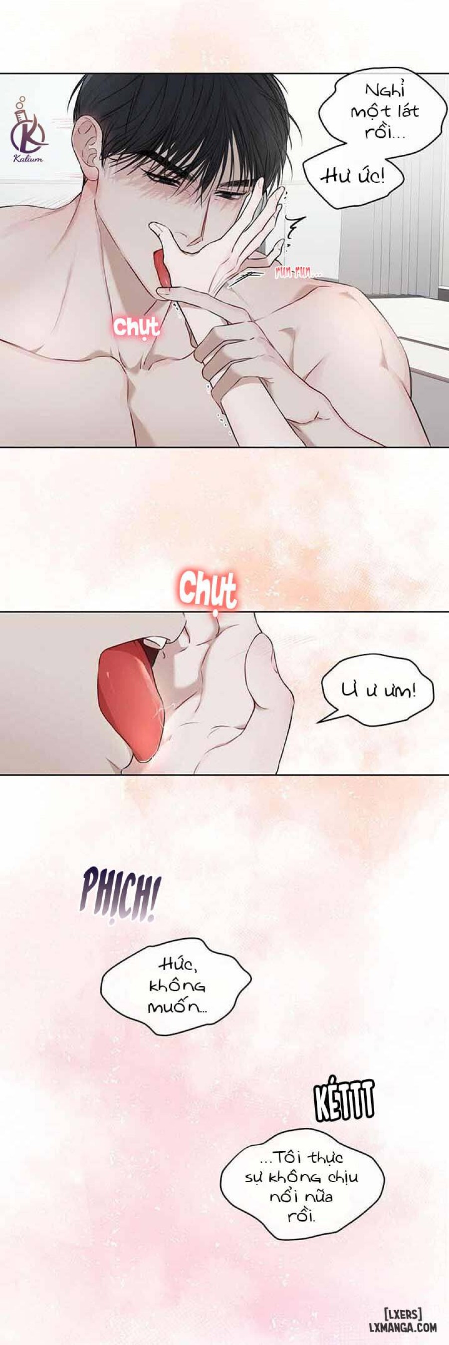 Hình thái khởi sinh 
