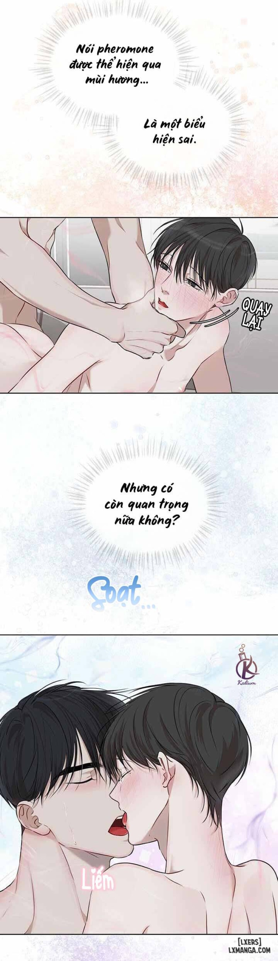 Hình thái khởi sinh 