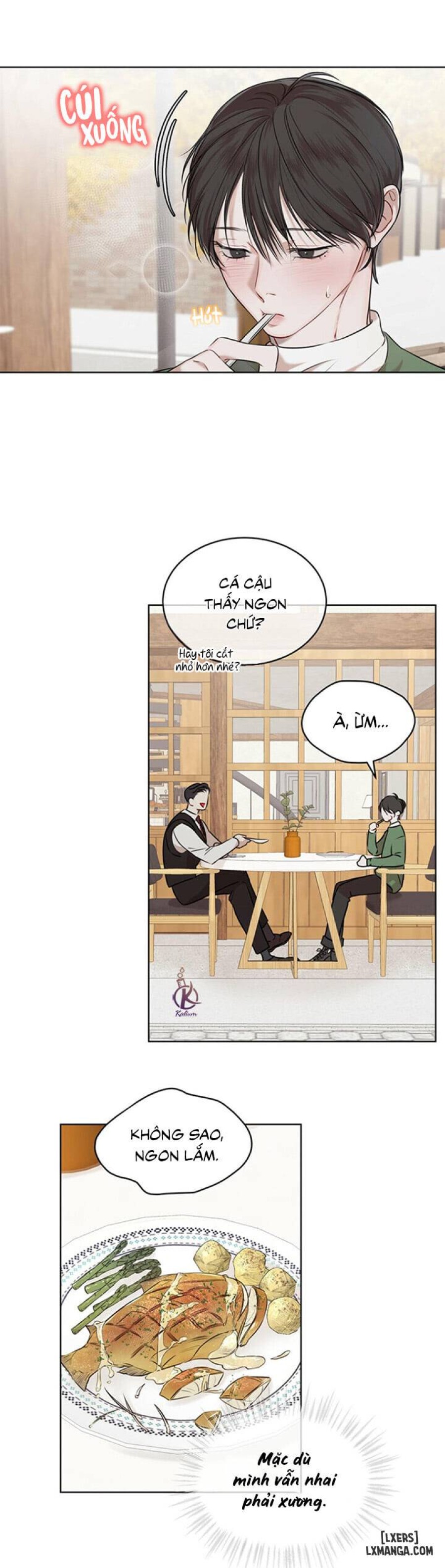 Hình thái khởi sinh 