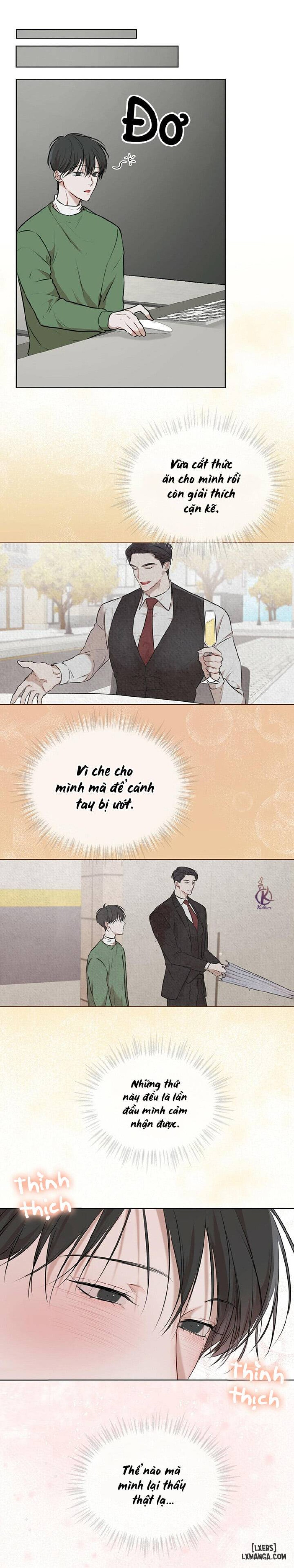 Hình thái khởi sinh 