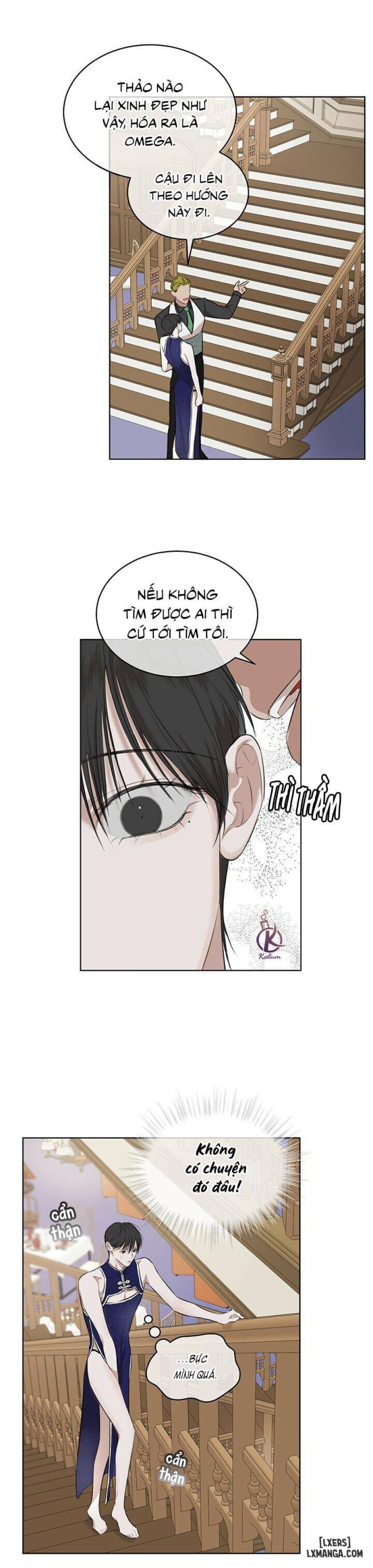 Hình thái khởi sinh 