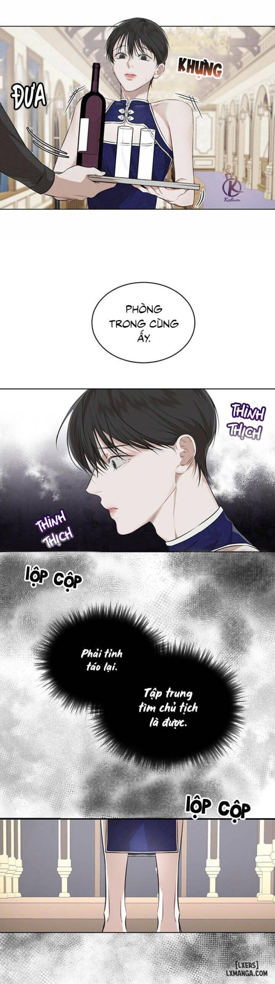 Hình thái khởi sinh 