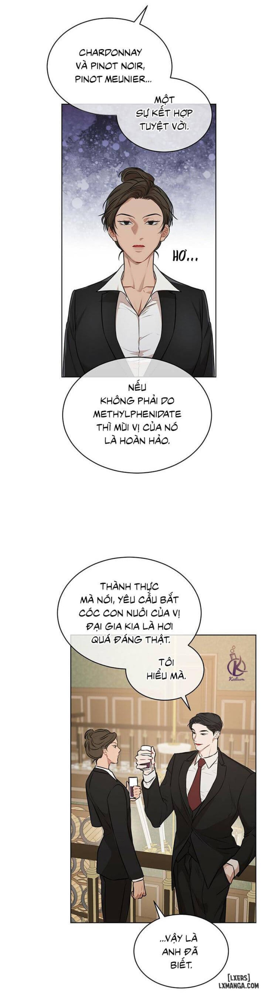 Hình thái khởi sinh 
