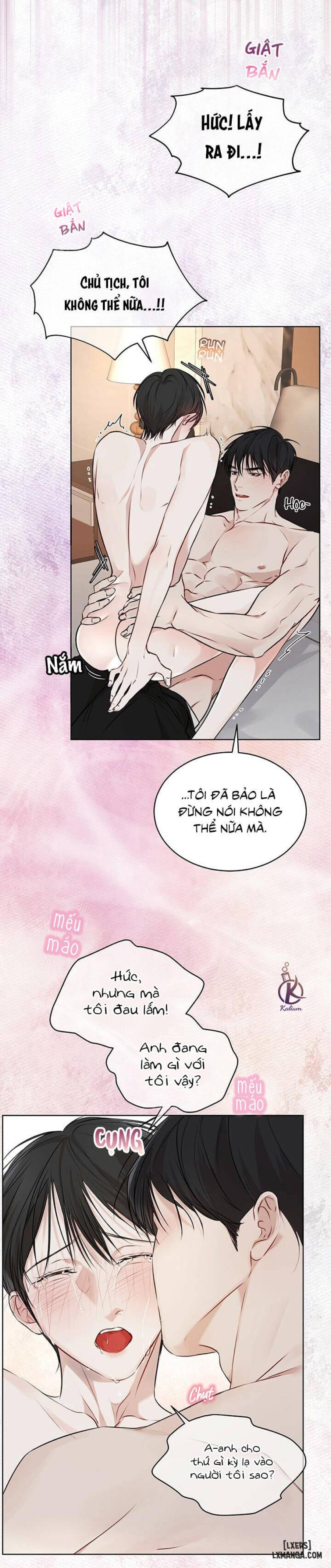 Hình thái khởi sinh 
