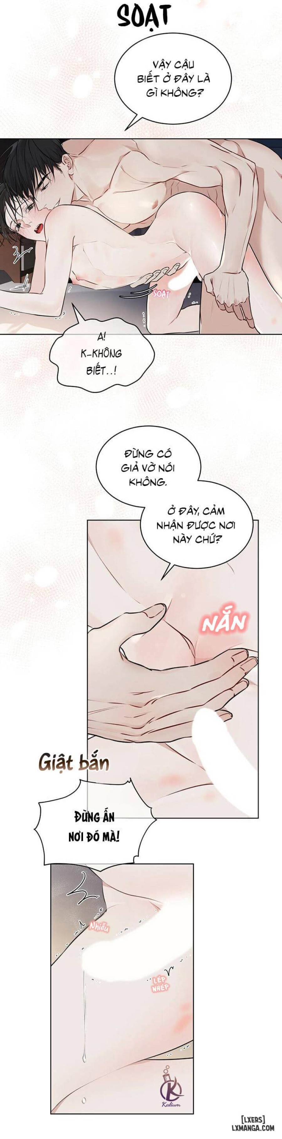 Hình thái khởi sinh 