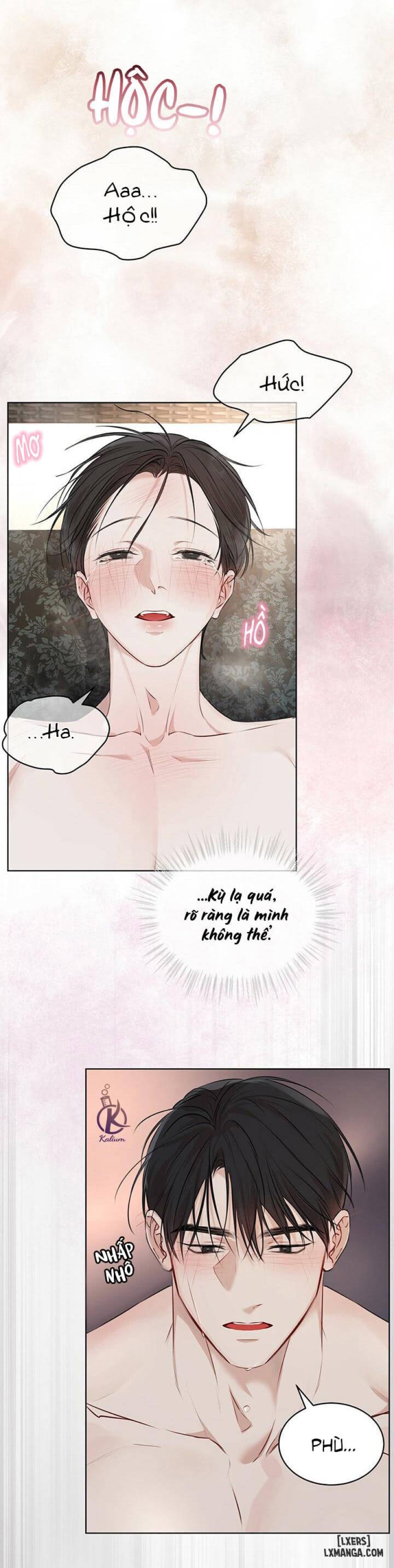 Hình thái khởi sinh 