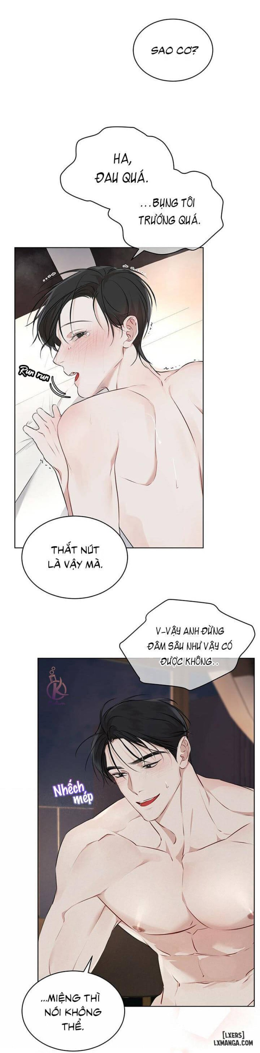 Hình thái khởi sinh 