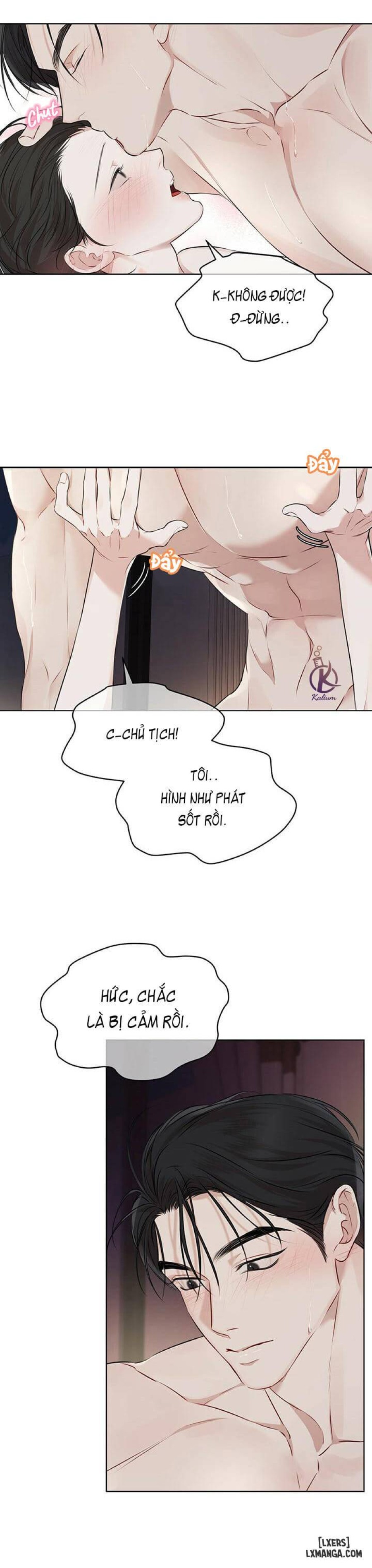 Hình thái khởi sinh 
