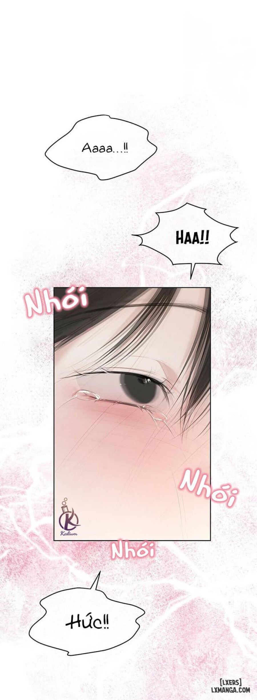 Hình thái khởi sinh 