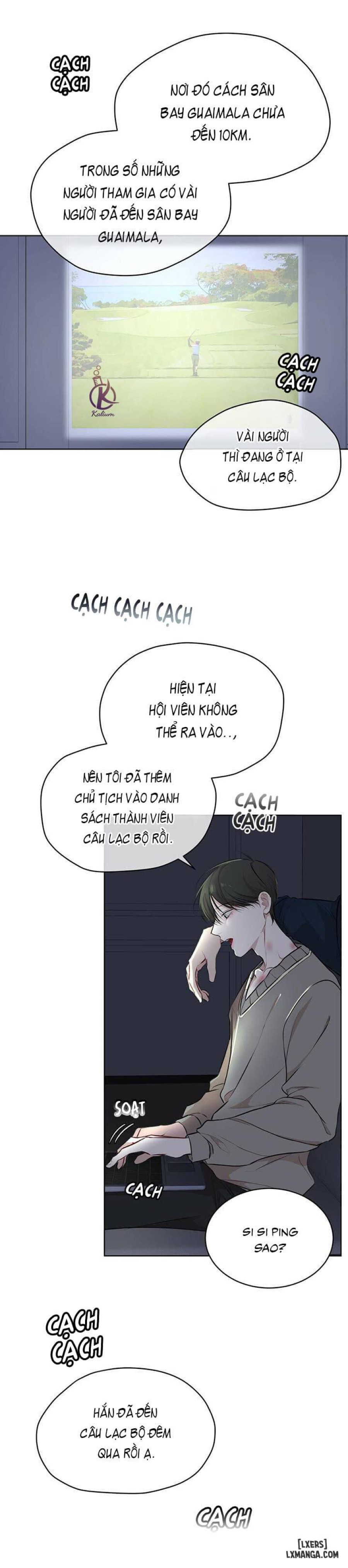 Hình thái khởi sinh 