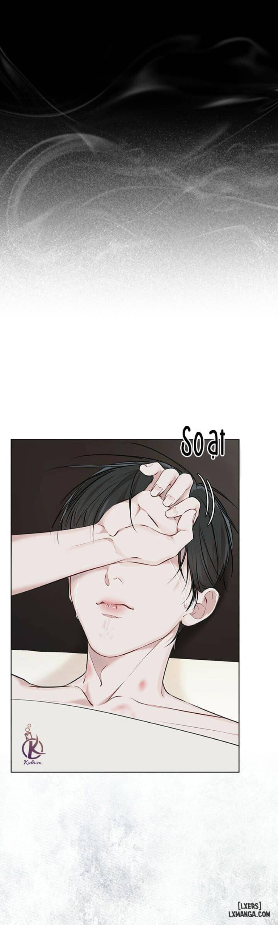 Hình thái khởi sinh 