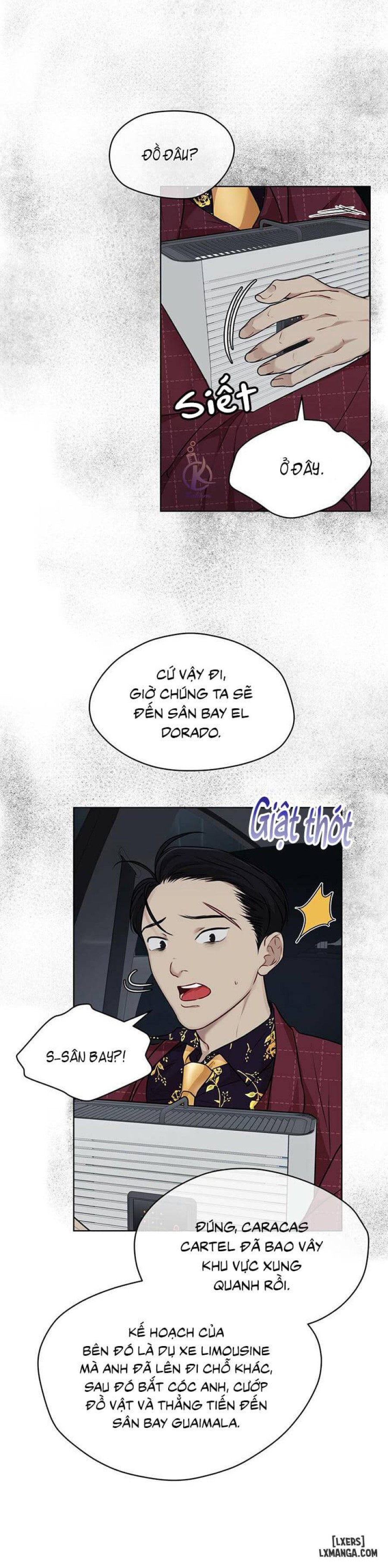 Hình thái khởi sinh 