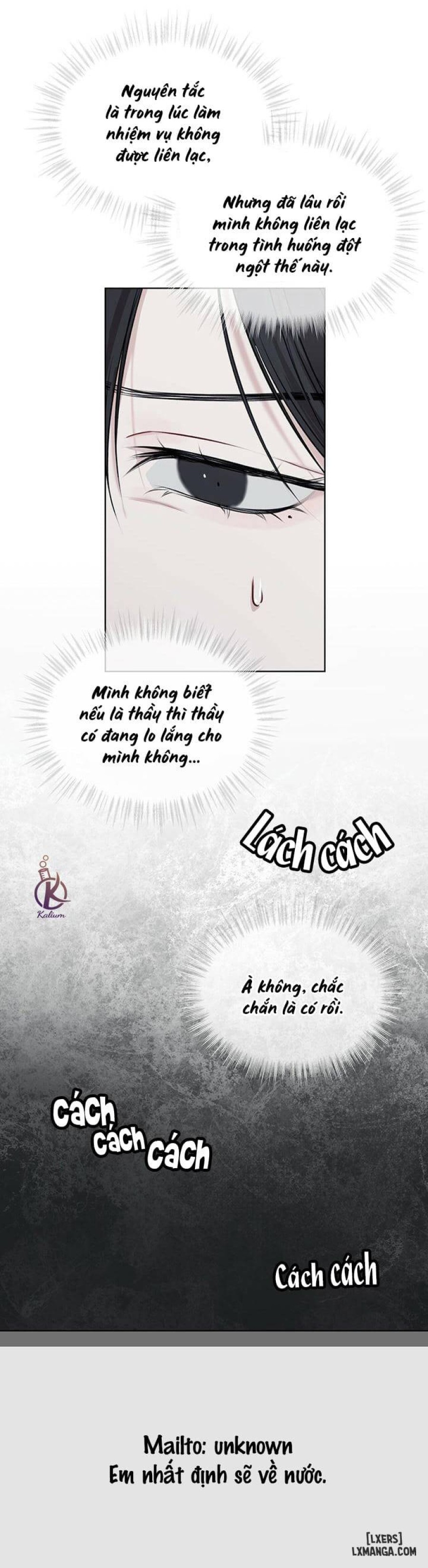 Hình thái khởi sinh 