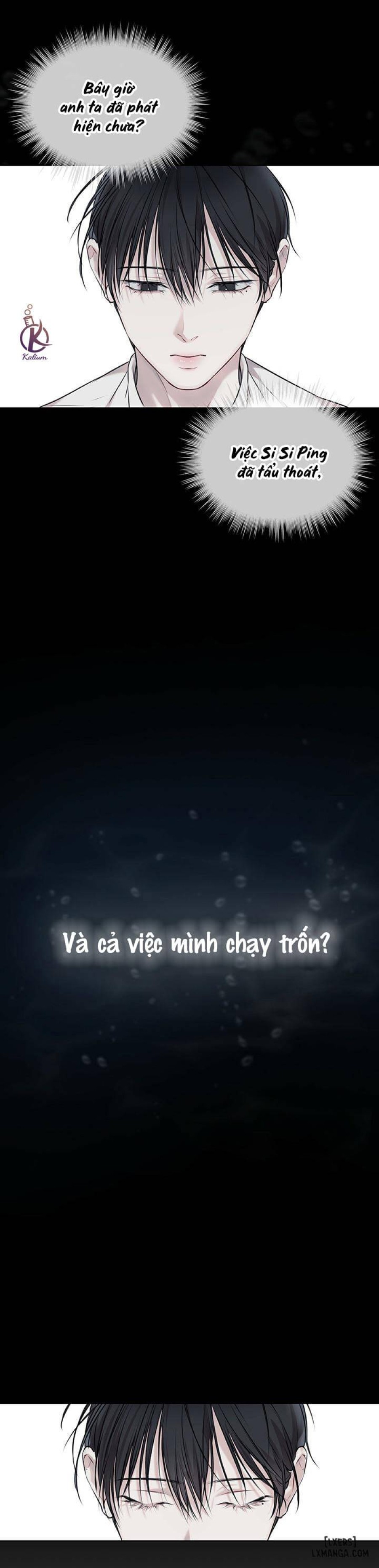 Hình thái khởi sinh 