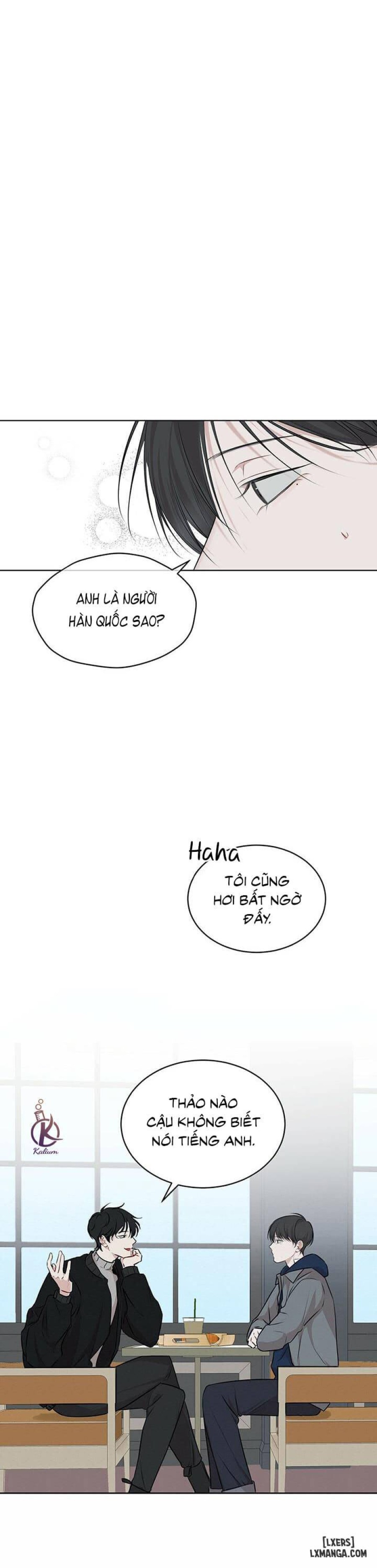 Hình thái khởi sinh 