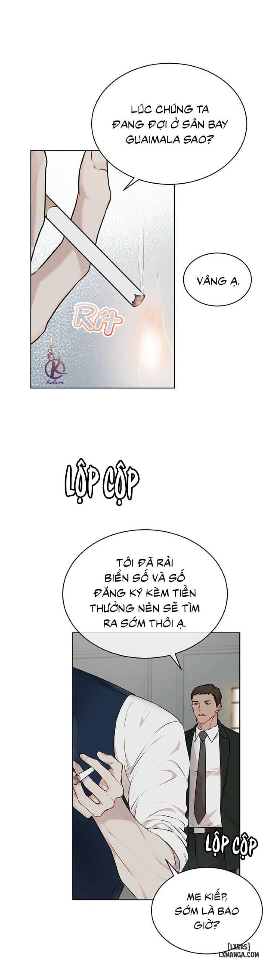 Hình thái khởi sinh 