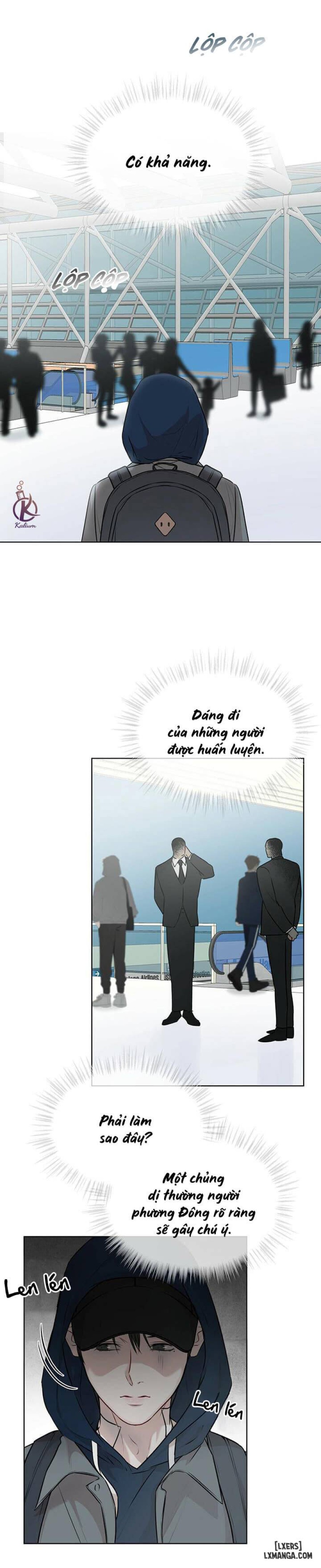 Hình thái khởi sinh 