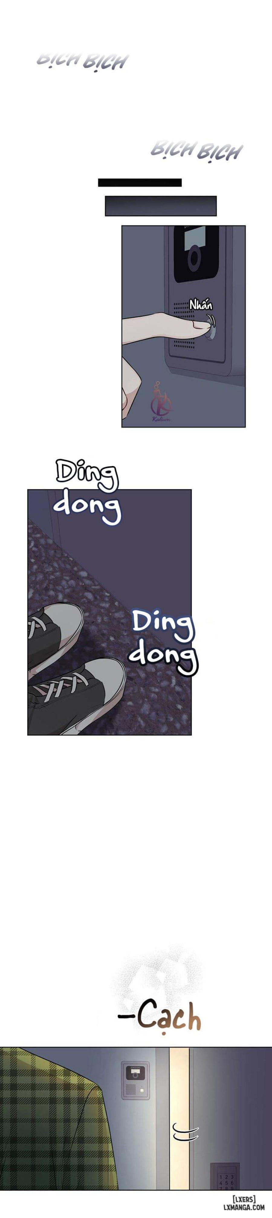Hình thái khởi sinh 