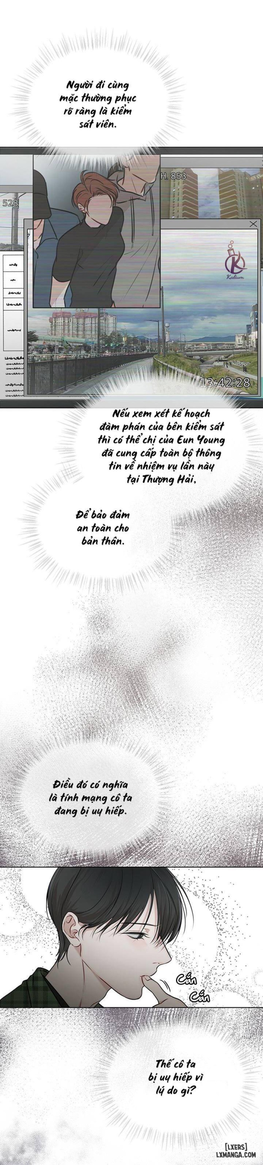 Hình thái khởi sinh 