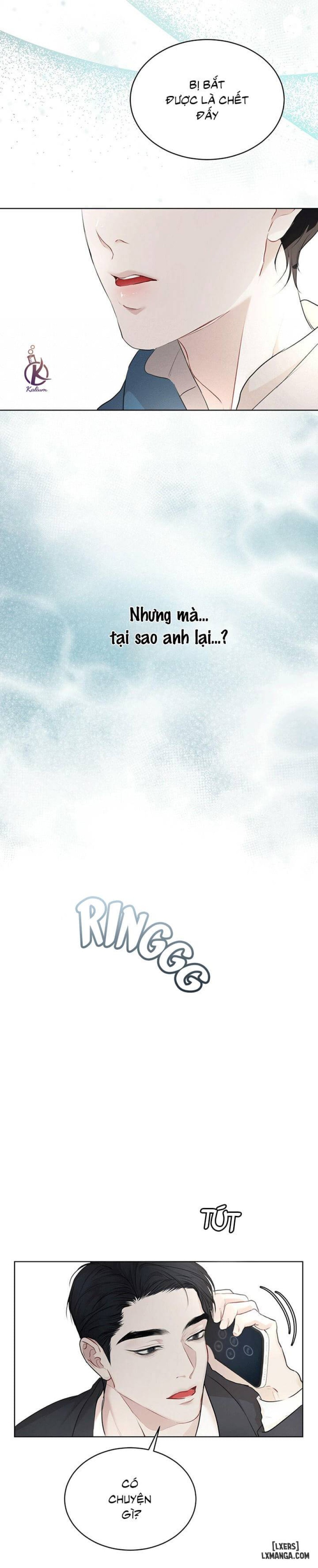 Hình thái khởi sinh 