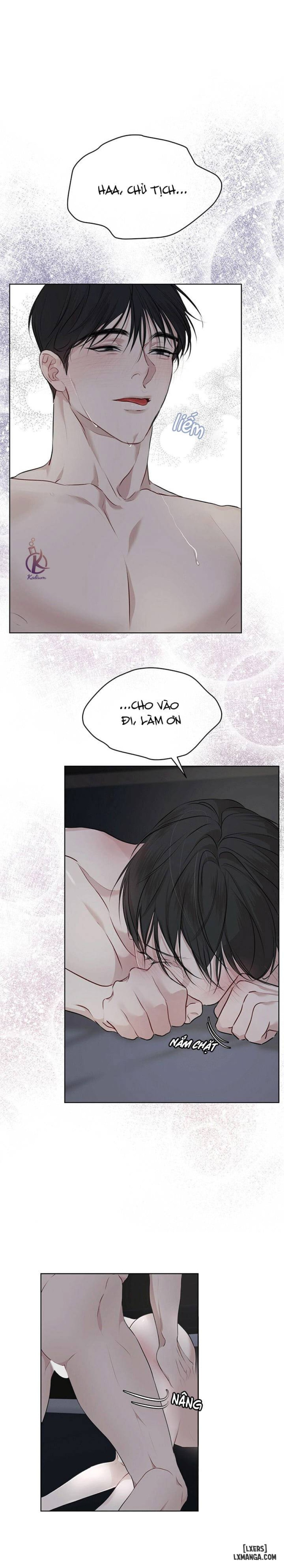 Hình thái khởi sinh 