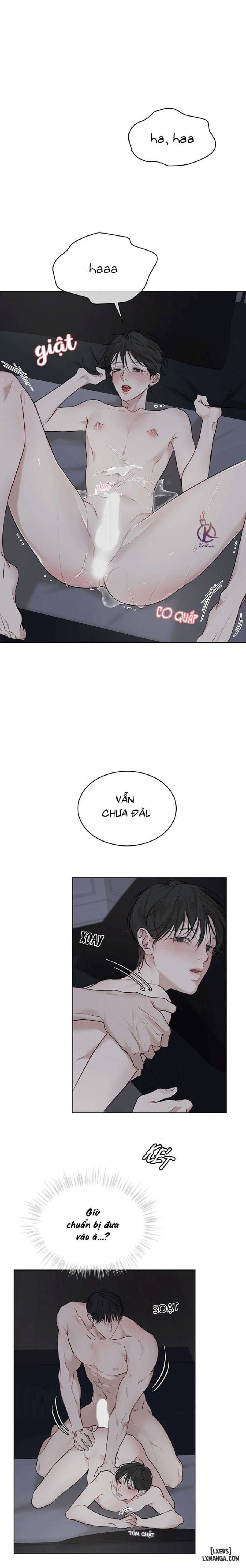 Hình thái khởi sinh 