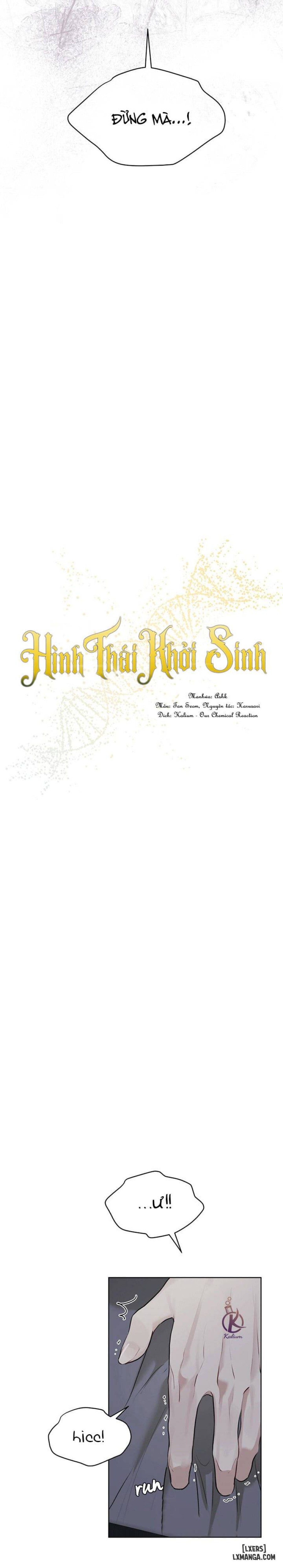 Hình thái khởi sinh 