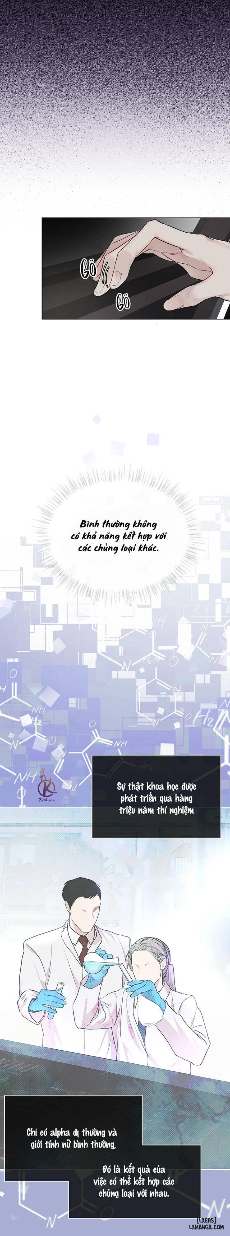 Hình thái khởi sinh 
