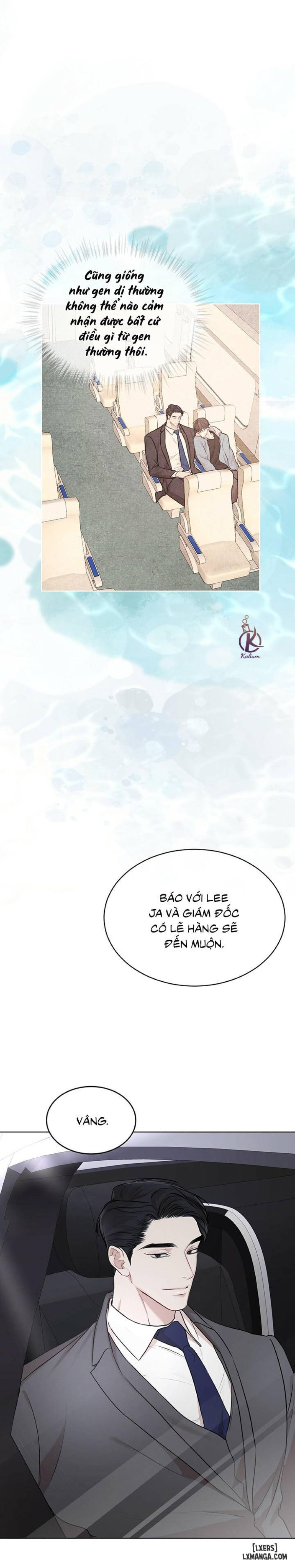 Hình thái khởi sinh 