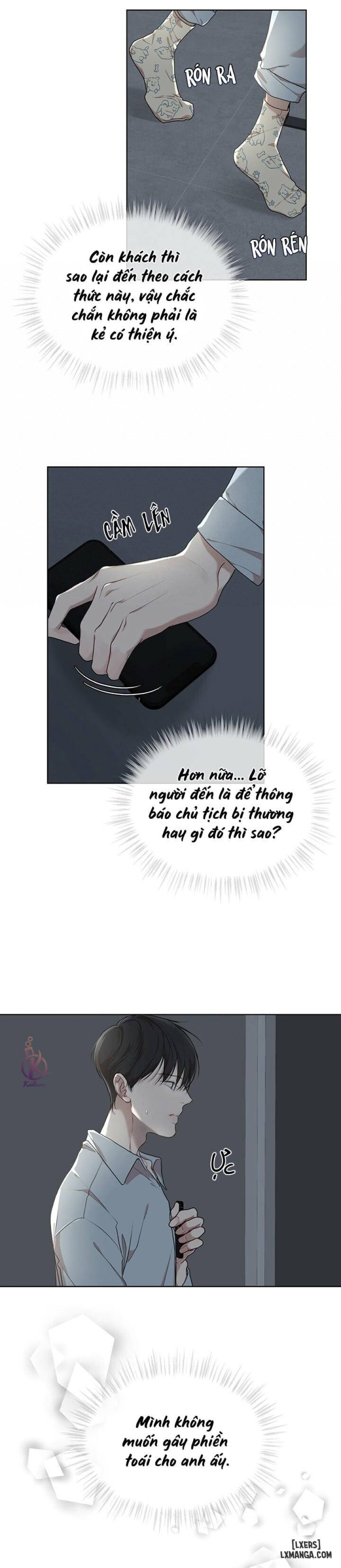 Hình thái khởi sinh 