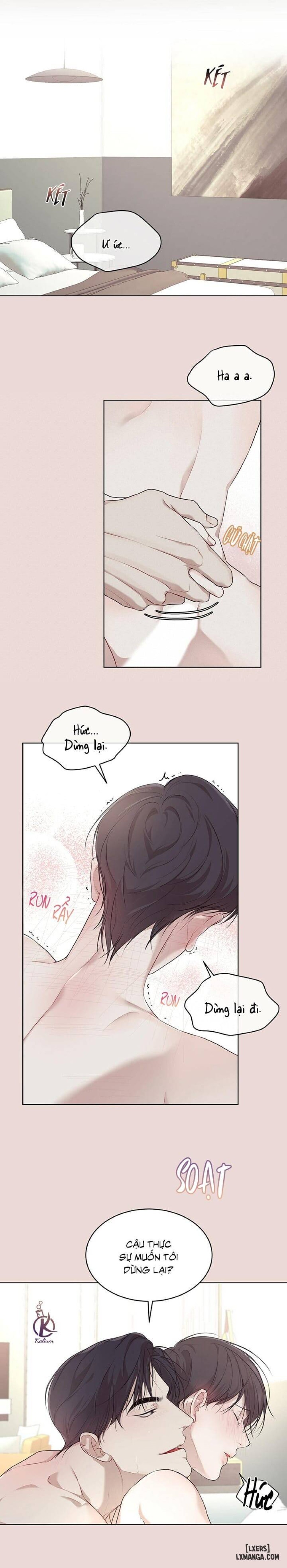 Hình thái khởi sinh 