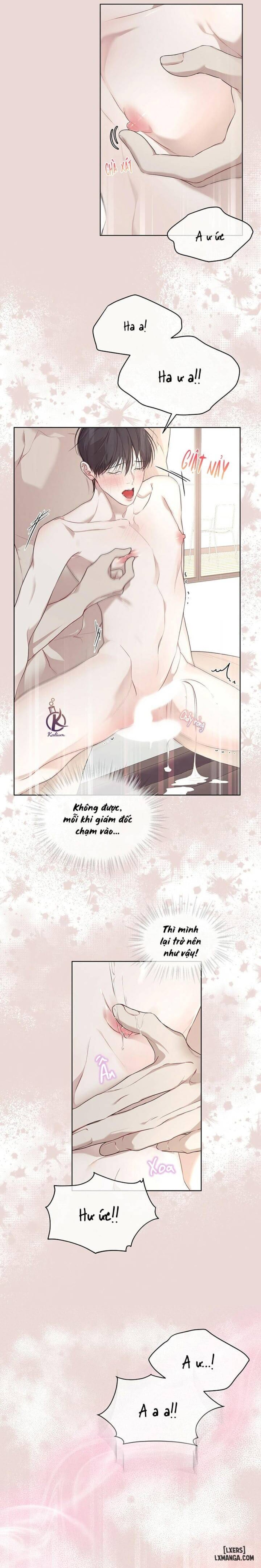 Hình thái khởi sinh 