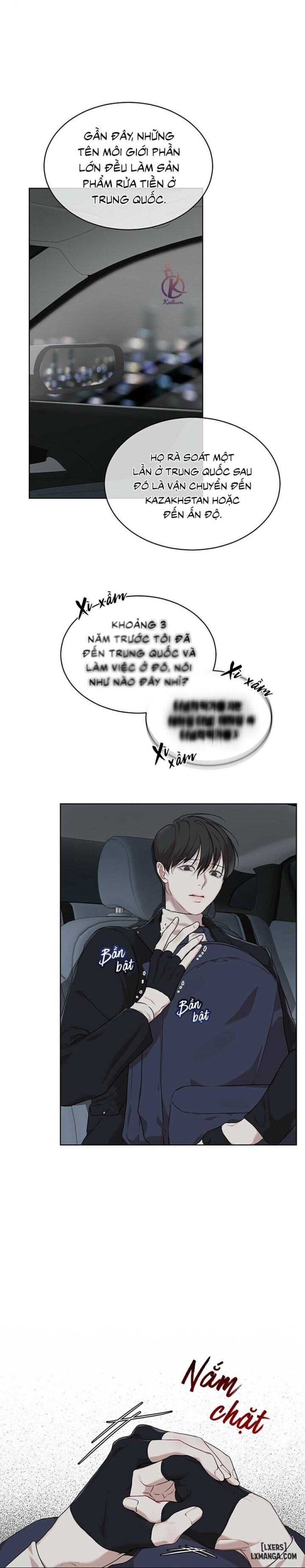 Hình thái khởi sinh 