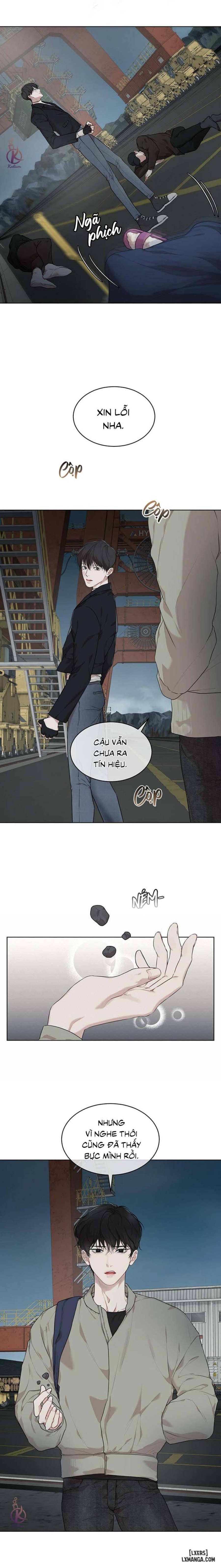 Hình thái khởi sinh 
