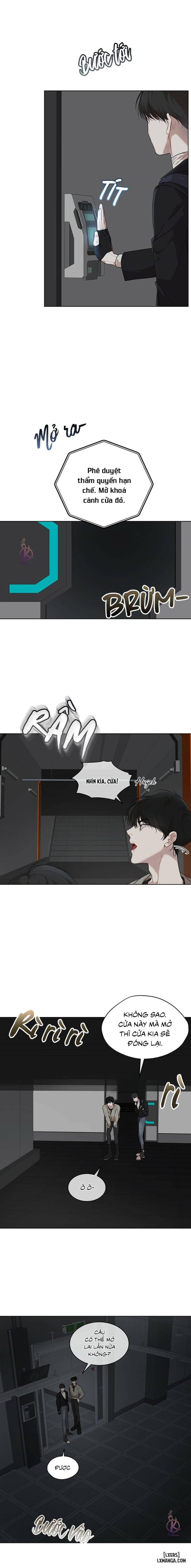 Hình thái khởi sinh 