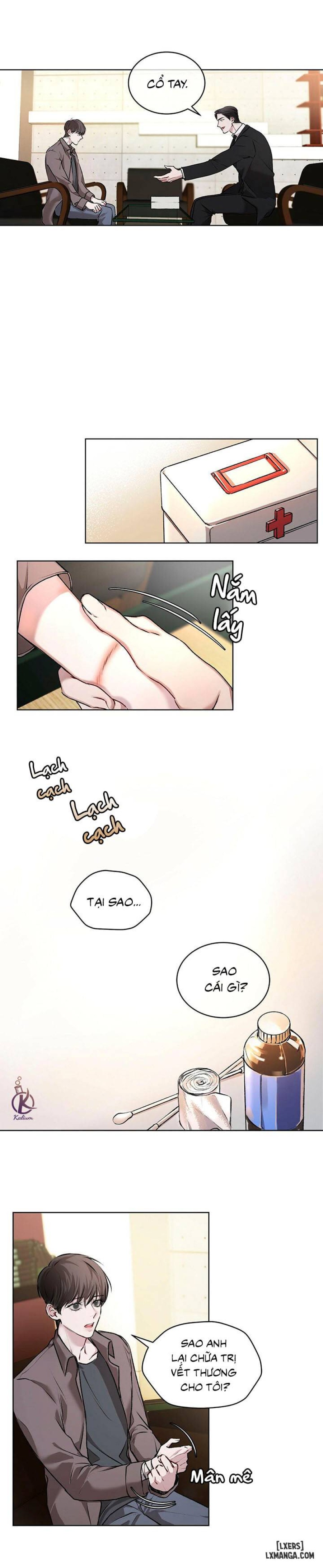 Hình thái khởi sinh 