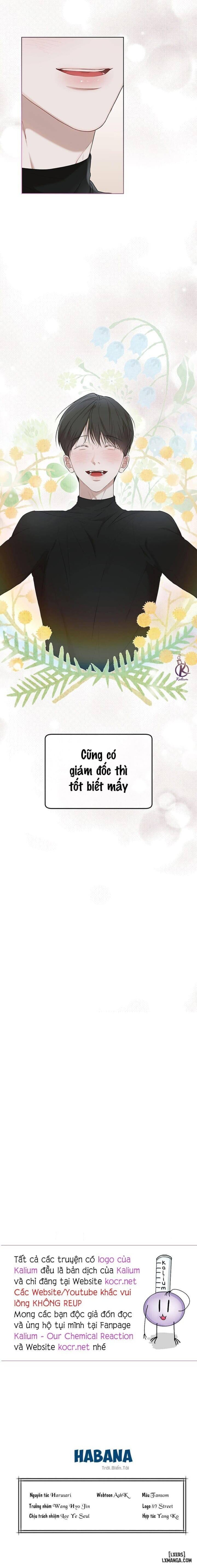 Hình thái khởi sinh 