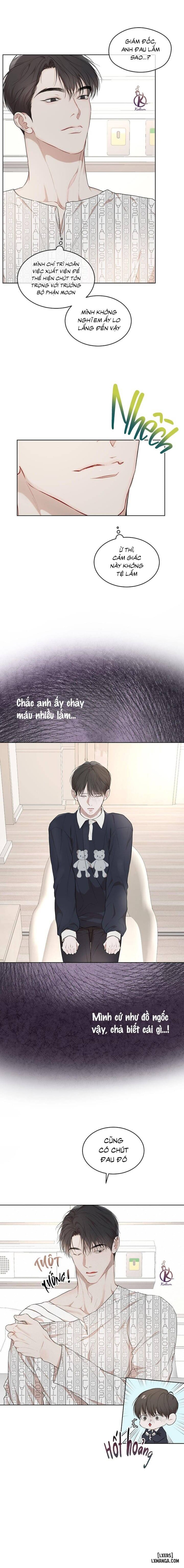 Hình thái khởi sinh 