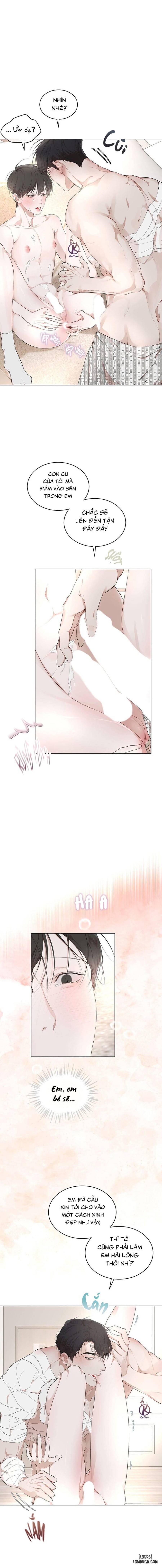 Hình thái khởi sinh 