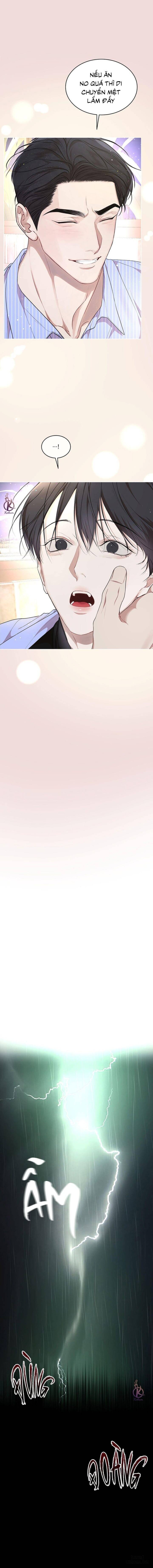 Hình thái khởi sinh 