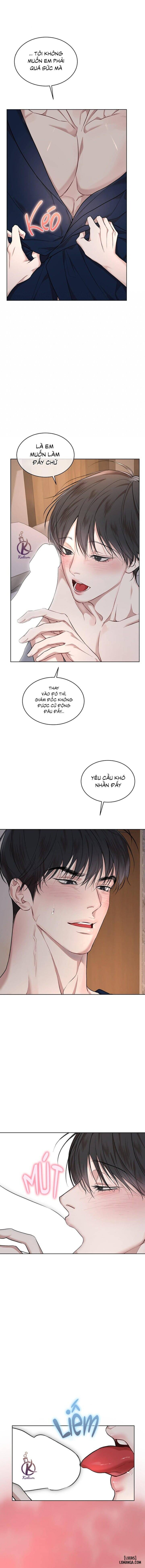 Hình thái khởi sinh 