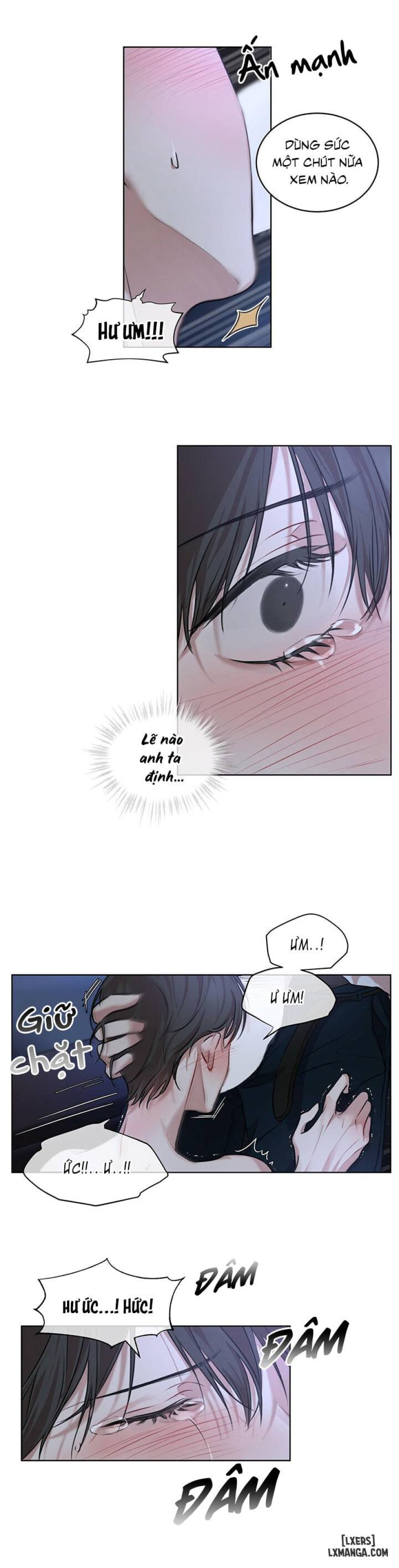 Hình thái khởi sinh 
