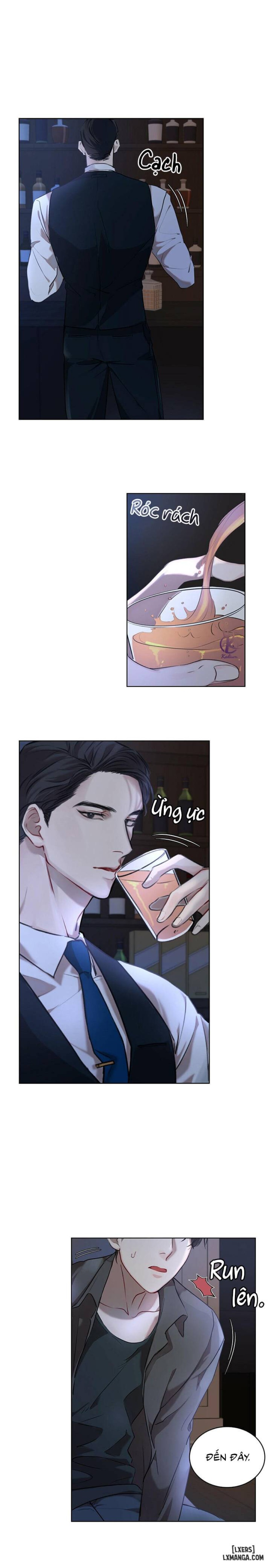 Hình thái khởi sinh 