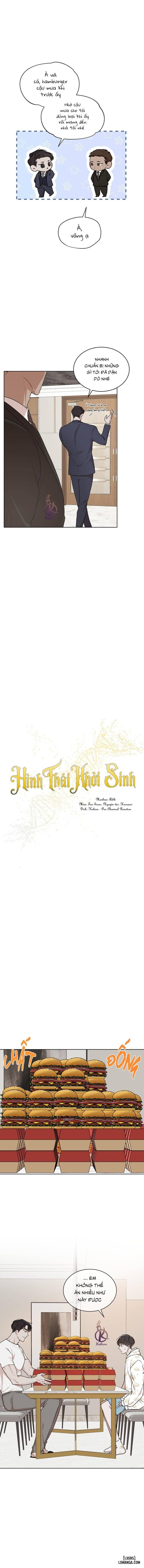 Hình thái khởi sinh 