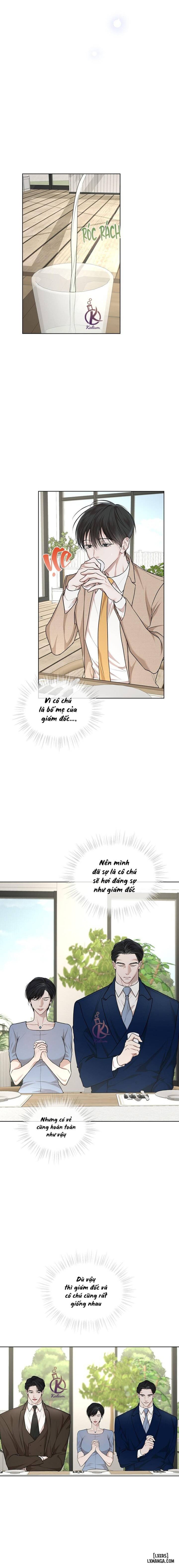 Hình thái khởi sinh 