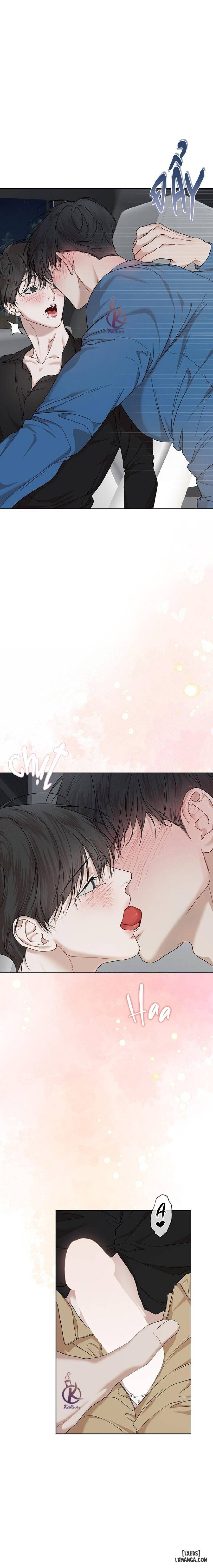 Hình thái khởi sinh 