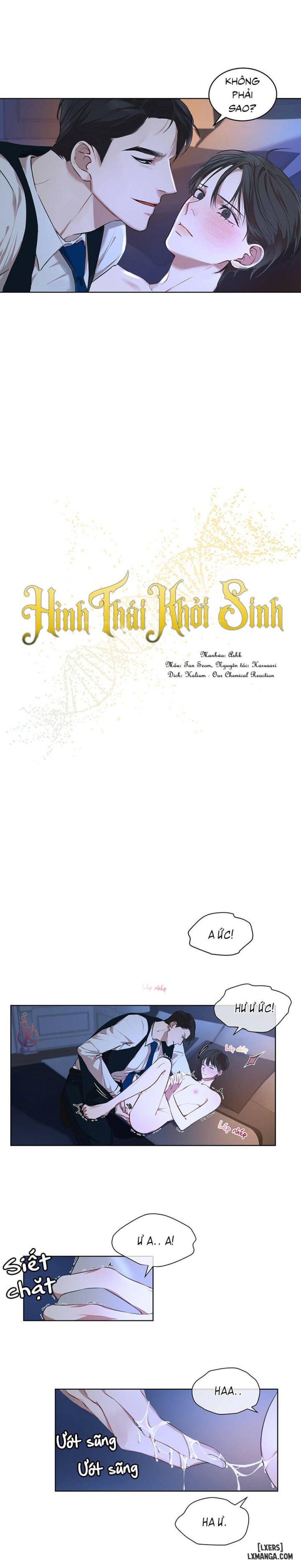 Hình thái khởi sinh 